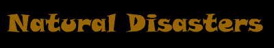 n.gif (5632 bytes)
